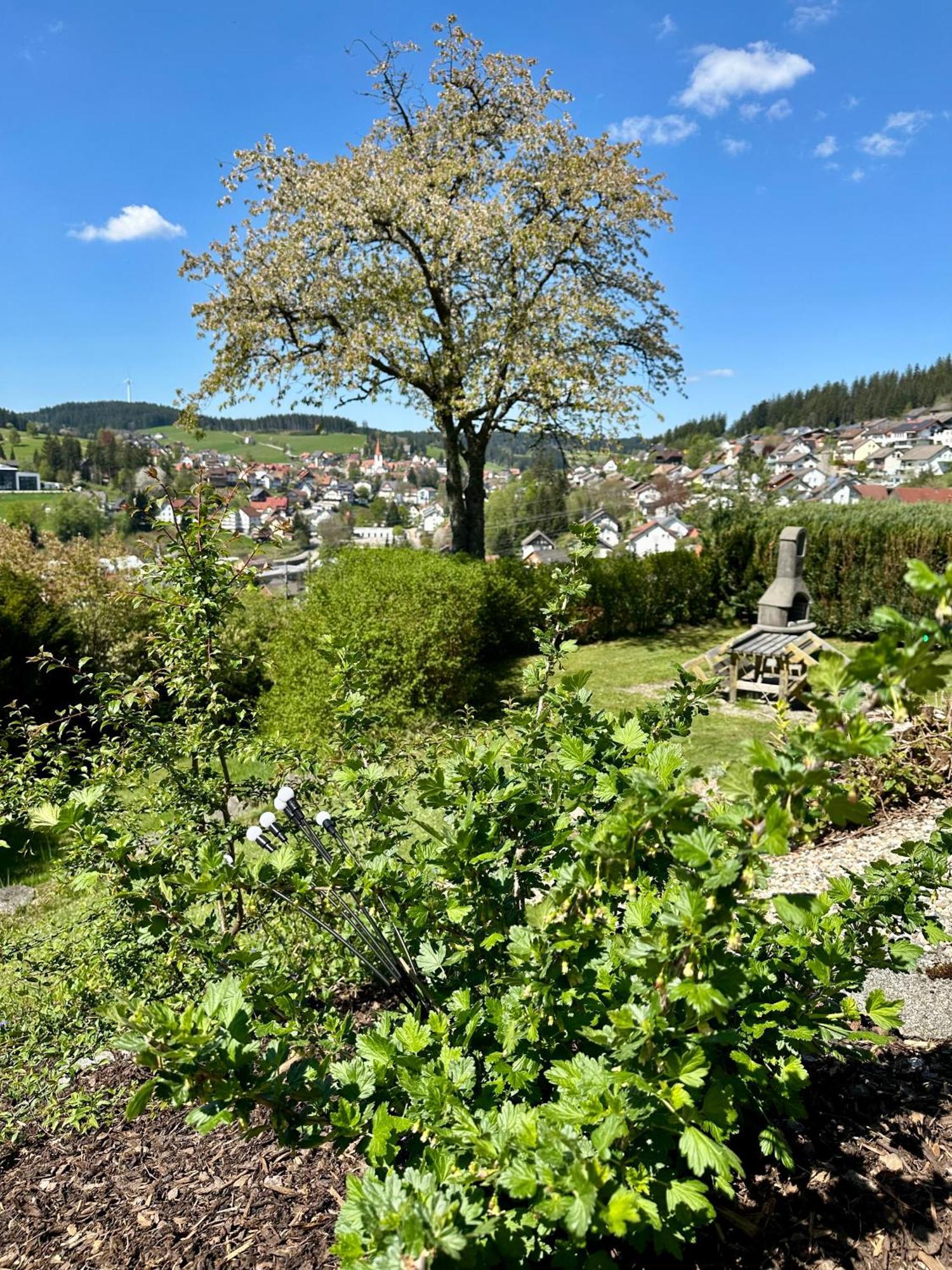 Apartamento Sonneck Schonach Schonach im Schwarzwald Exterior foto